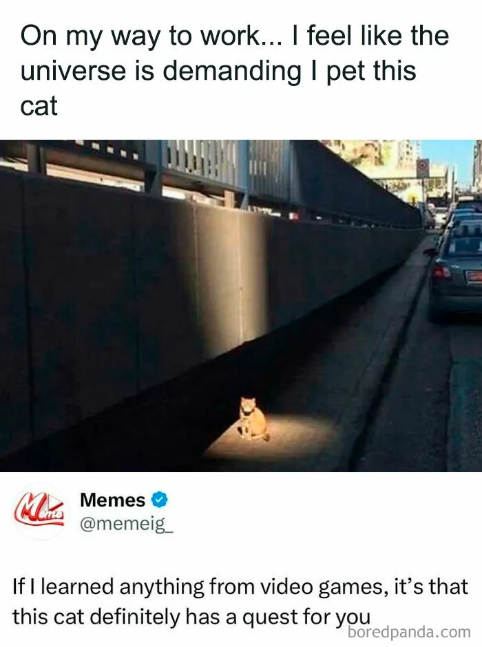 50 Memes That Hit Too Close To Home In The Funniest Way (New Pics)
