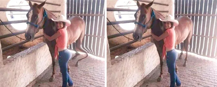 Now We Don't Have To Shoot The Horse