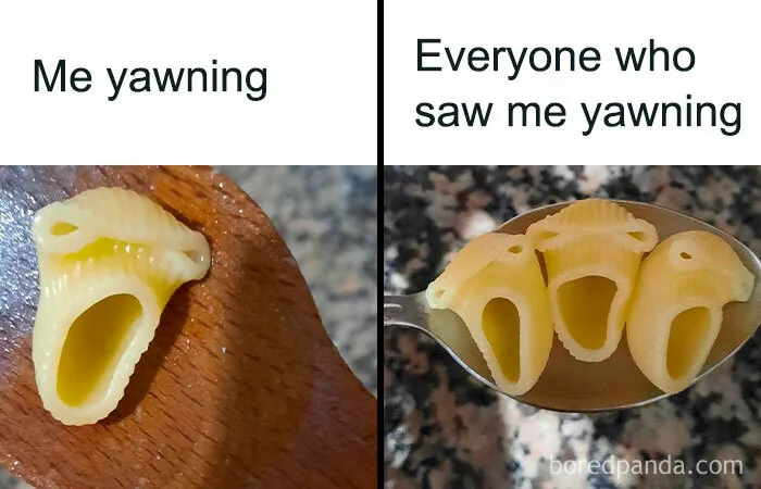 If Sarcasm Was A First Language, These 50 Memes Would Be National Literature (New Pics)