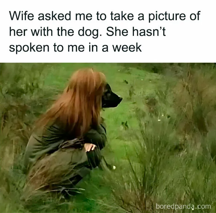 If Sarcasm Was A First Language, These 50 Memes Would Be National Literature (New Pics)
