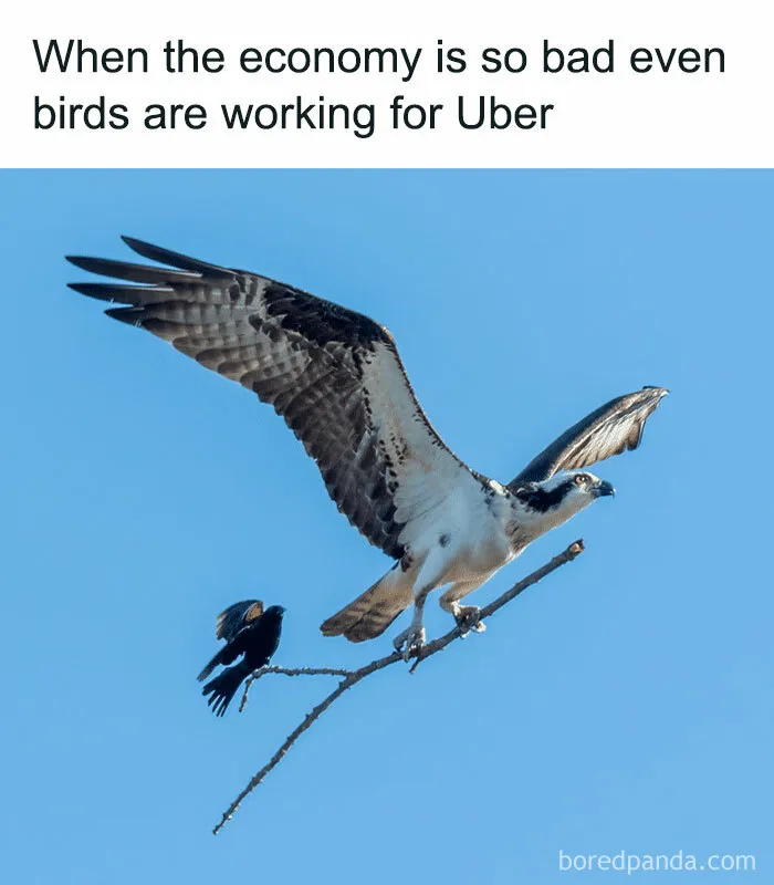 If Sarcasm Was A First Language, These 50 Memes Would Be National Literature (New Pics)