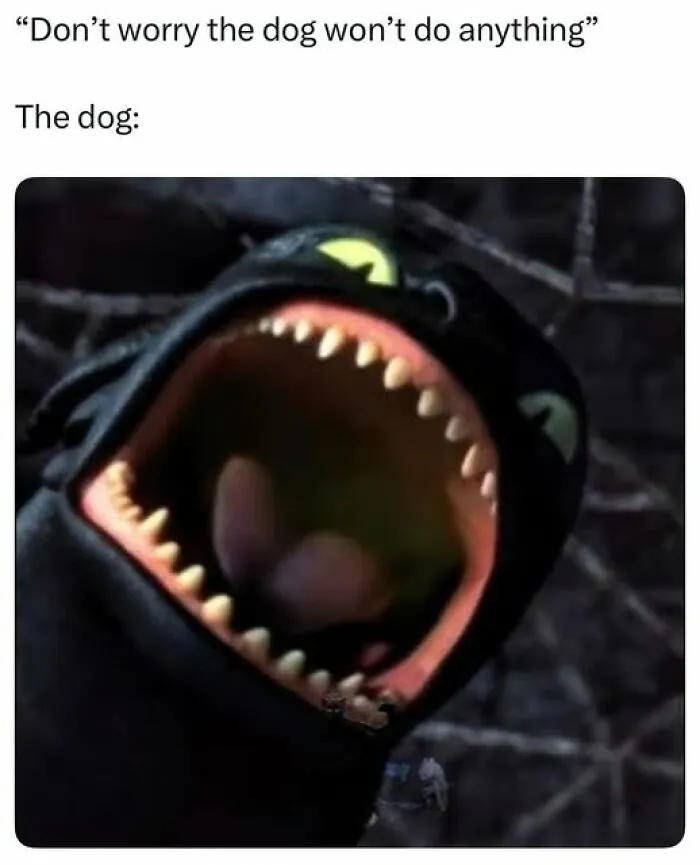 Sarcastic meme showing a wide-mouthed animated black dragon representing a dog contradicting the warning not to worry.