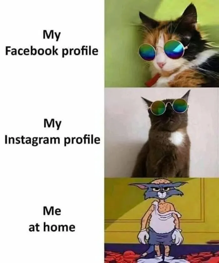 Sarcastic meme showing difference between Facebook, Instagram profiles and real self at home with cats and a cartoon character.