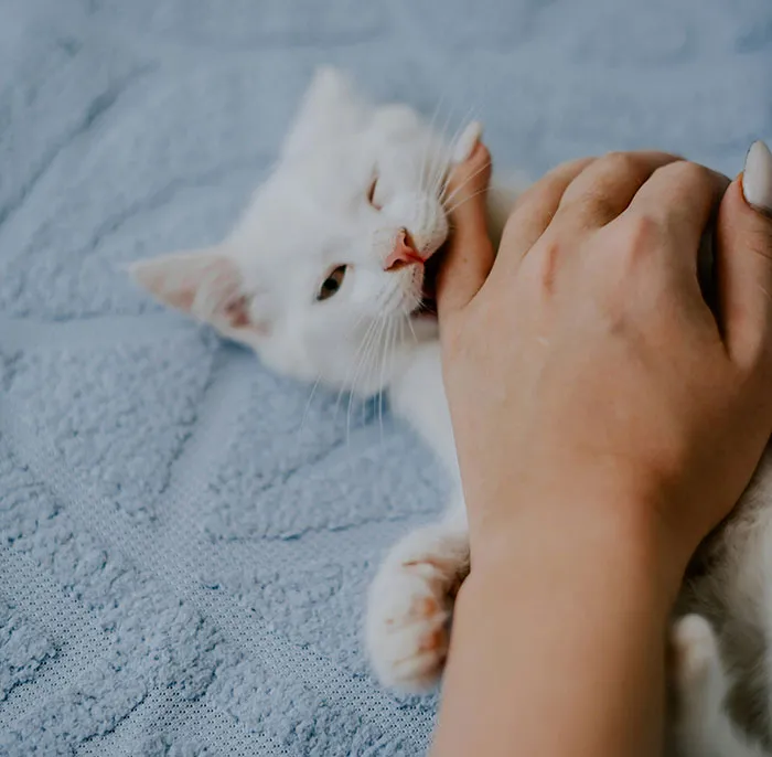 "Don't Ignore These": 45 Symptoms People Swear Are More Serious Than They Seem