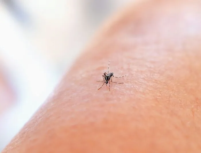 “Haven’t Had To Shave In 26 Years”: 40 People Who Absolutely Won The Genetic Lottery