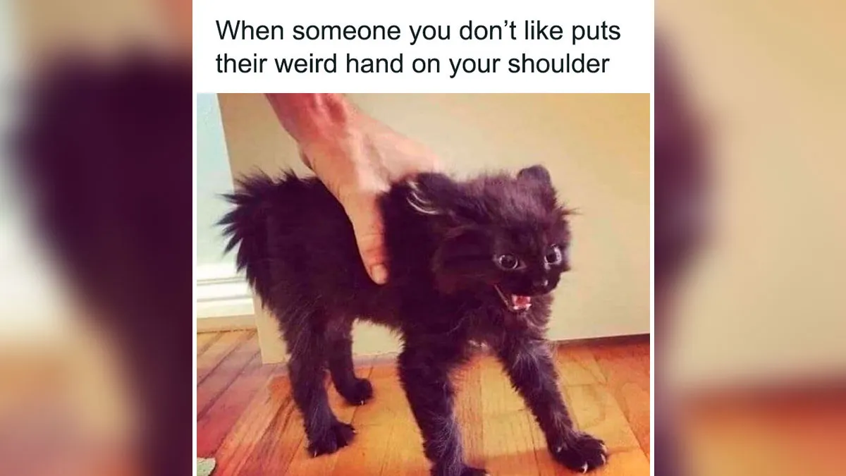 50 Random Memes That Are Too Hilarious To Keep To Yourself