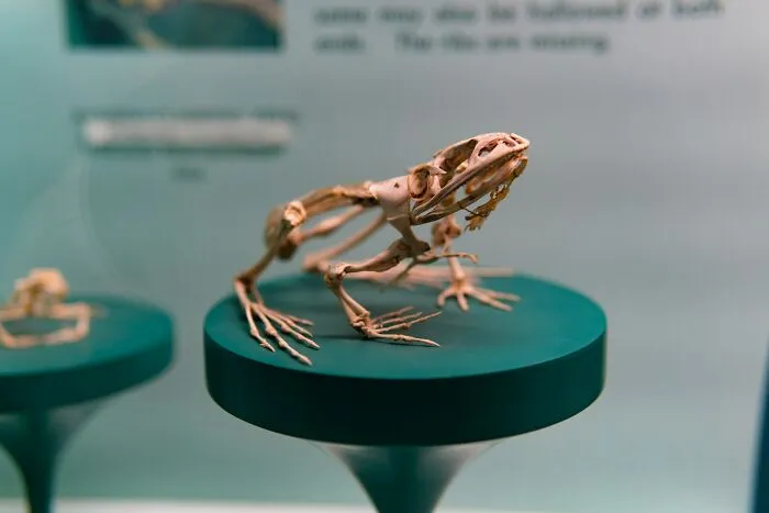 “Don't Google It”: 40 Of The Weirdest And Most Unusual Things Seen In Human Bodies