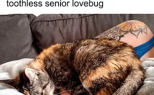 If The World Seems Like A Horrible Place Now, These 50 Positive Posts Might Be Just What You Need