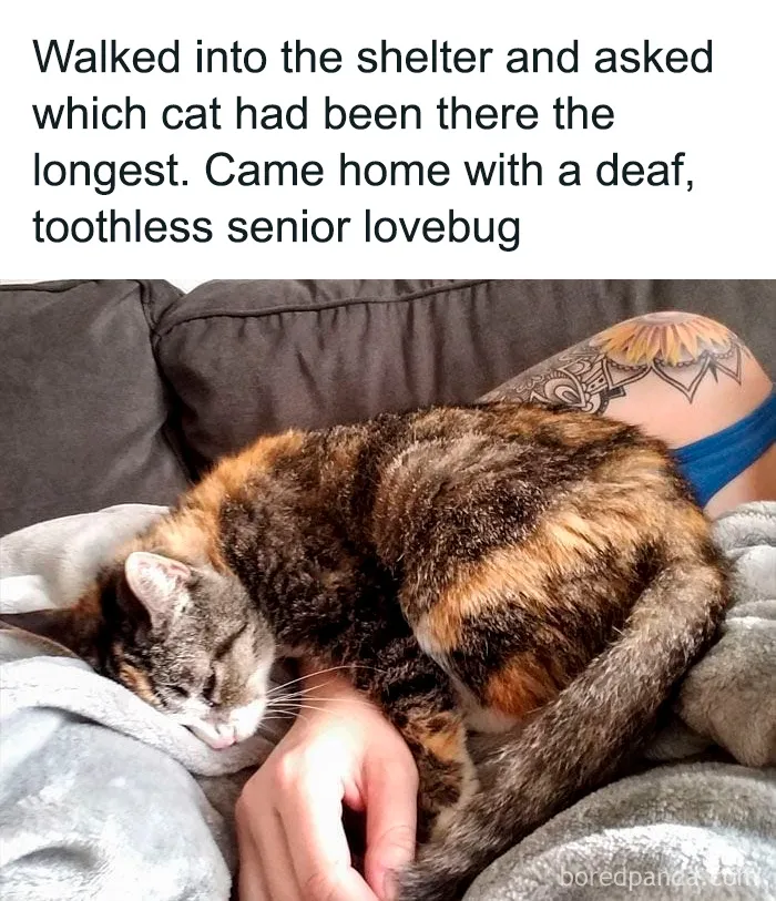 If The World Seems Like A Horrible Place Now, These 50 Positive Posts Might Be Just What You Need