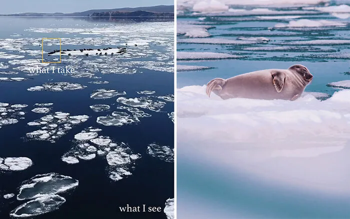 “What I See Vs. What I Take”: 16 Photos Revealing How This Photographer Captures The Perfect Shot
