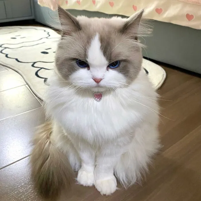 Beware, For These 44 Adorable Pet Pics Are Here To Melt Your Heart Right Away