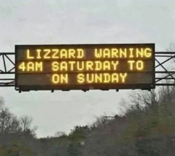 Electronic road sign with misspelled lizard warning causing hilarious chaos and confusion on the highway.