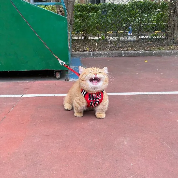 Beware, For These 44 Adorable Pet Pics Are Here To Melt Your Heart Right Away