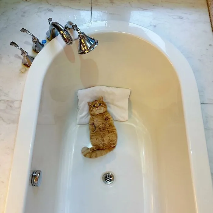 Beware, For These 44 Adorable Pet Pics Are Here To Melt Your Heart Right Away