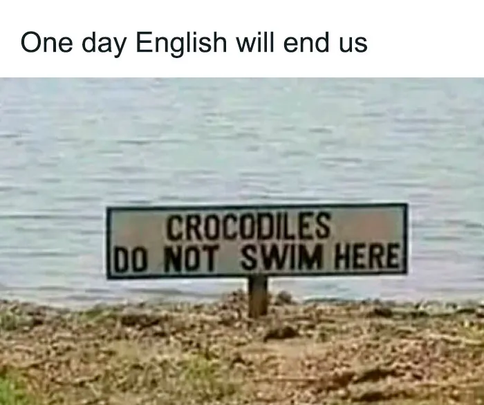 Funny warning sign near water saying crocodiles do not swim here, adding chaos with hilarious signs in the world.