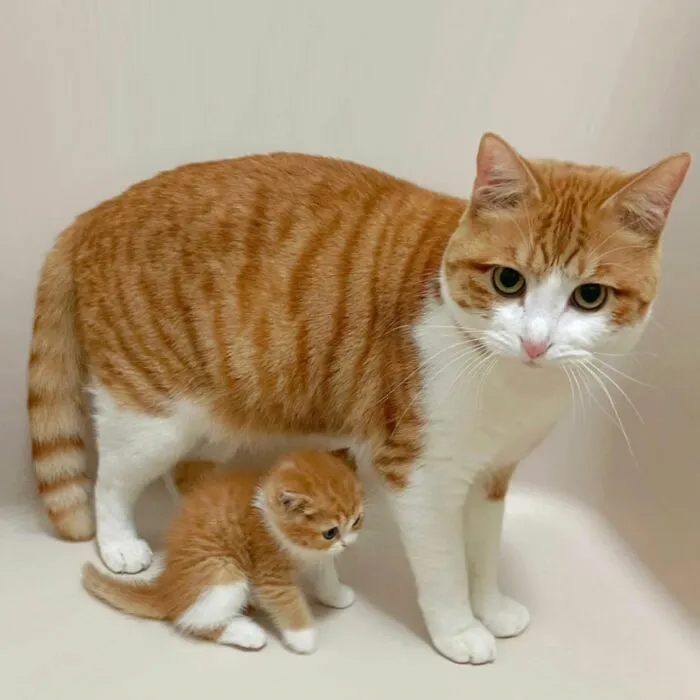 Beware, For These 44 Adorable Pet Pics Are Here To Melt Your Heart Right Away
