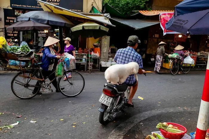 50 Times This Street Photographer Caught The World Off Guard