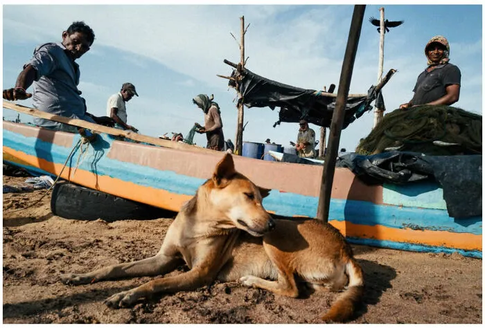 Photographer Takes Powerful Photos That Show The Beauty Of Daily Life Around The World (26 Pics)