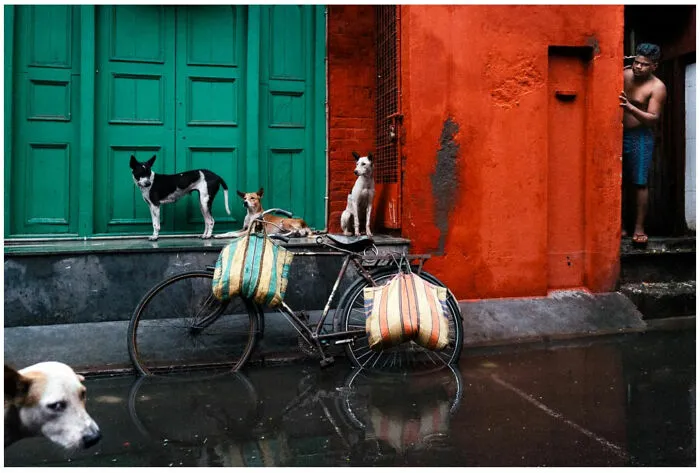 Photographer Takes Powerful Photos That Show The Beauty Of Daily Life Around The World (26 Pics)