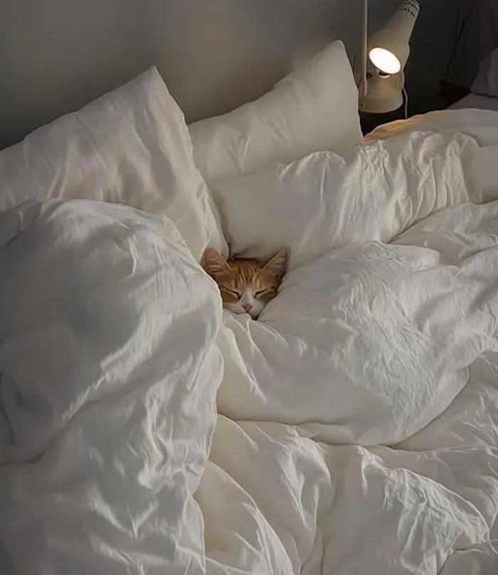 En la cama
