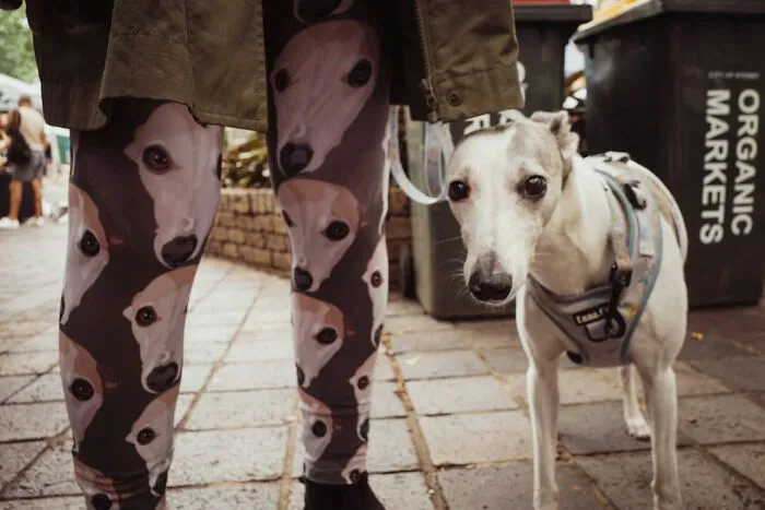48 Candid Street Photos By Alex McClintock That Tell Stories Without Words