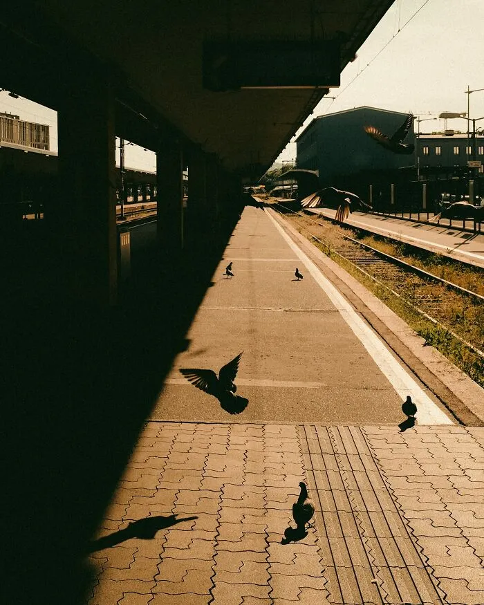 Perfect Symmetry, Deep Shadows, And Stillness: 30 Street Photographs By Tommi Viitala