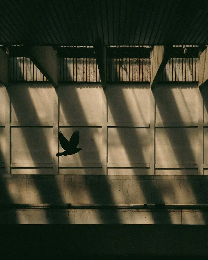 Perfect Symmetry, Deep Shadows, And Stillness: 30 Street Photographs By Tommi Viitala