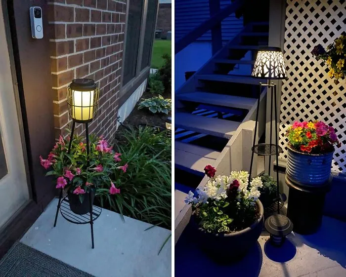 Now Your Plants Can Photosynthesize During The Day And Throw Their Own Moody Little Rave At Night With A <a Style="Display:inline;" Href="Https://Www.amazon.com/Visflair-Solar-Floor-Lamps-Plant/Dp/B09qmh6c92?ie=utf8&th=1&linkcode=ll1&tag=bpbison-20&linkid=85e9a382698f3805408c5e82f3dd8b05&language=en_us&ref_=as_li_ss_tl" Target="_blank">    <span Style="Font: Inherit; Color: #d74b1f;"> Solar Light Plant Stand </Span>