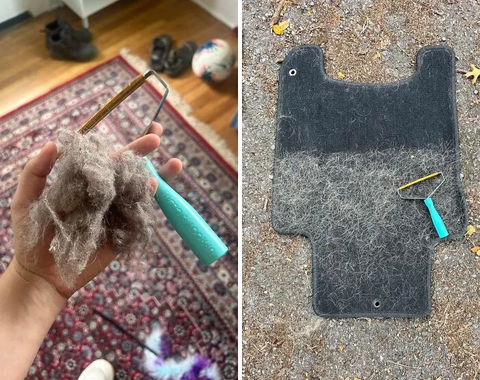 Finally, You Can Serve An Eviction Notice To The Fur Living Rent-Free On Your Sofa With A <a Style="Display:inline;" Href="Https://Www.amazon.com/Uproot-Cleaner-Reusable-Hair-Remover/Dp/B09lnx88yk?ie=utf8&linkcode=ll1&tag=bpbison-20&linkid=836212ce8c3c7093aef4656d1d78832c&language=en_us&ref_=as_li_ss_tl" Target="_blank">    <span Style="Font: Inherit; Color: #d74b1f;"> Pet Hair Removal Tool </Span>