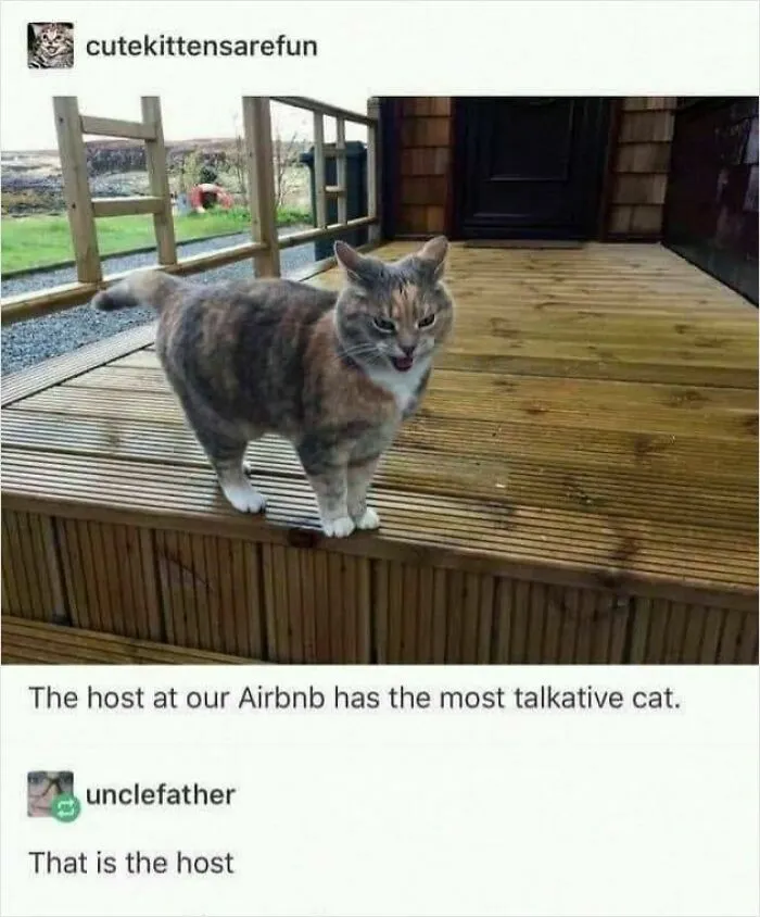 50 Hilarious Pictures Of Animals Going Off The Rails And Full “Goblin Mode” (New Pics)