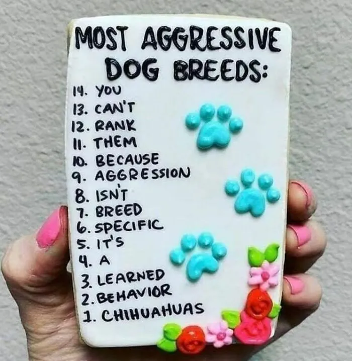 50 Times Dogs Were So Funny And Cute Owners Just Couldn’t Help But Share (New Pics)