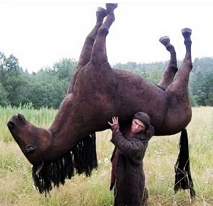 50 ‘Cursed Images’ That Are Wrong On Every Level (New Pics)