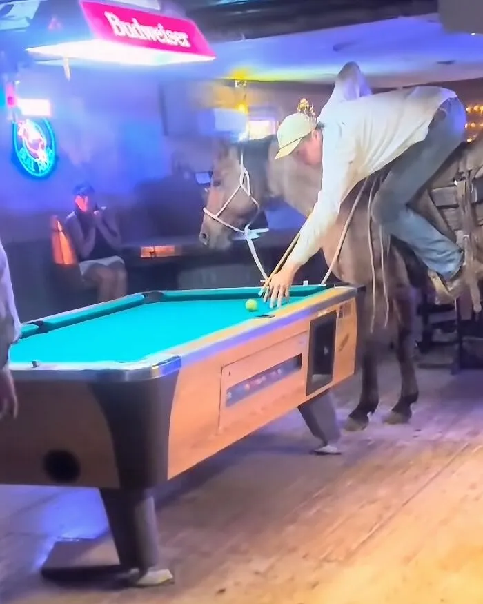 Man riding horse indoors while playing pool, an uncomfortable and unusual scene in a bar setting.