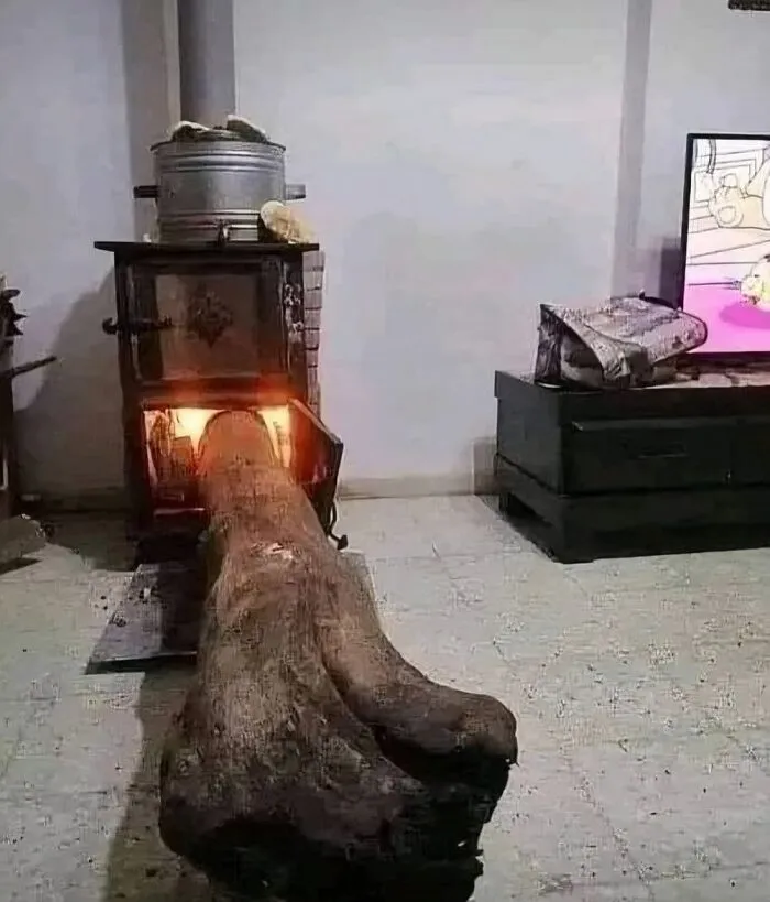 Large log awkwardly sticking out of a stove inside a room, creating an uncomfortable and odd scene.