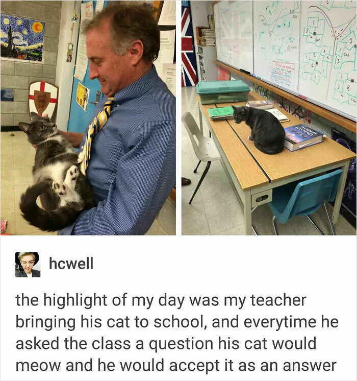 What A Teacher's Pet