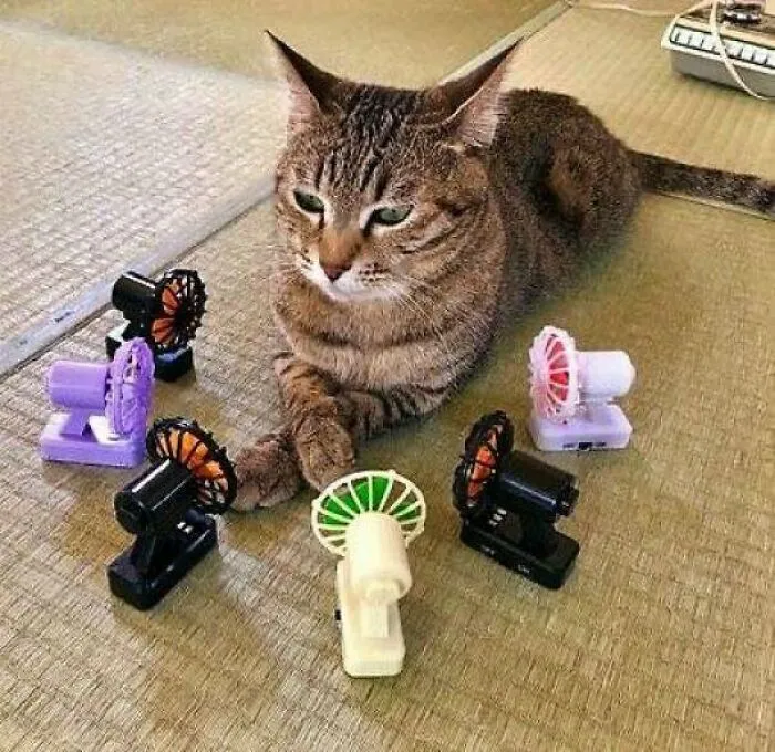 He’s The Coolest Boy And Has A Lot Of Fans