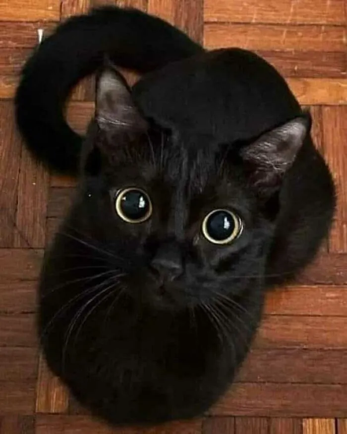 Ha salido guapo