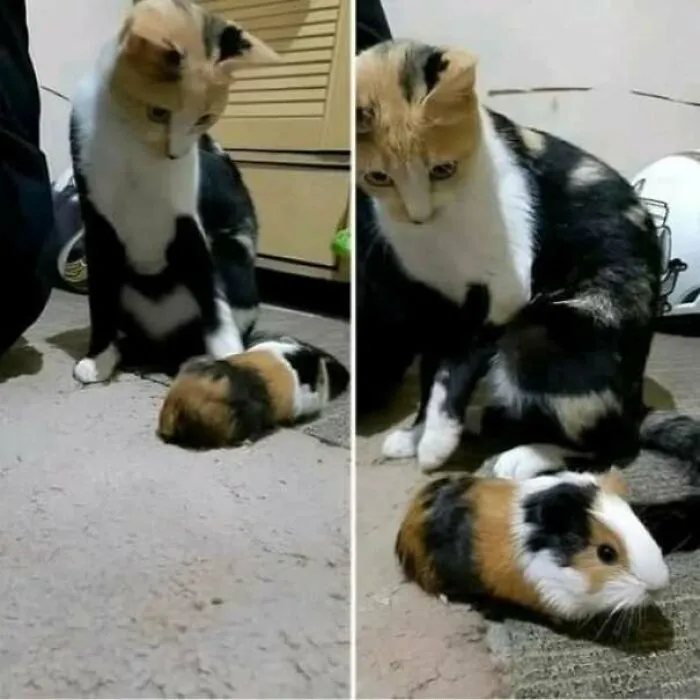 Creo que mi hijo ha salido raro