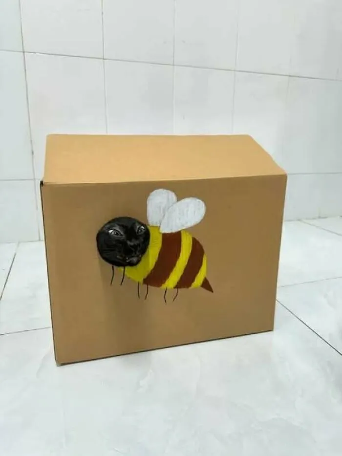 Gato negro asomando su cabeza dentro de caja decorada con dibujo de abeja, foto divertida de gatos creativa.