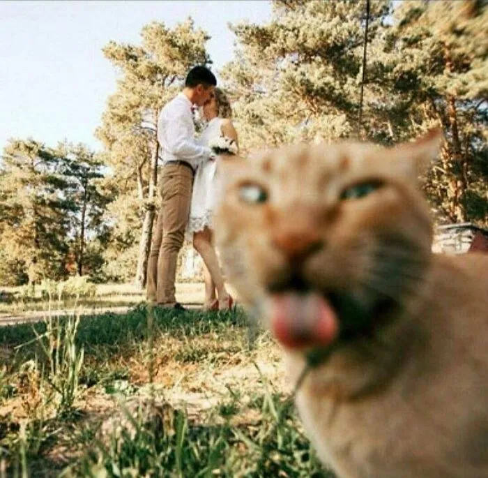 "Bleeeeh 😛"