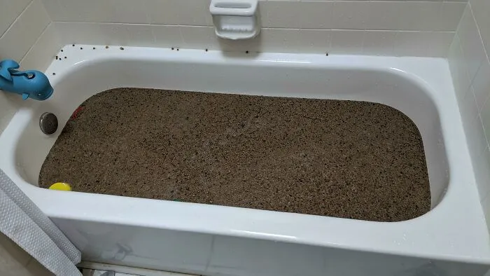 Mi hijo de 5 años preparó un baño de comida para gatos para su hermana.