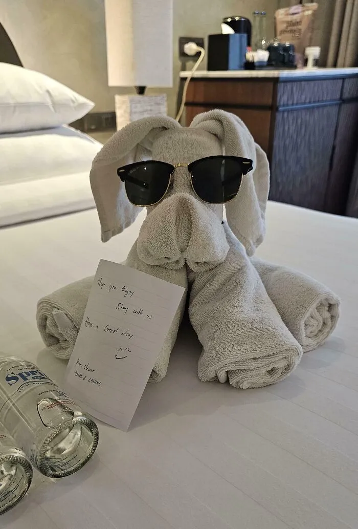 The Hotel Staff Left A Cool Towel Dog On My Bed This Morning