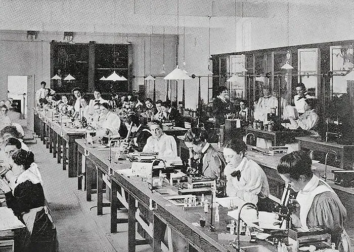 The London School Of Medicine, Physiology Laboratory. Women Students At Work, 1899