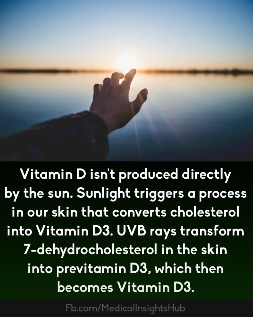 Hand reaching toward sunlight over water, illustrating curious medical facts about fingers containing no muscles.