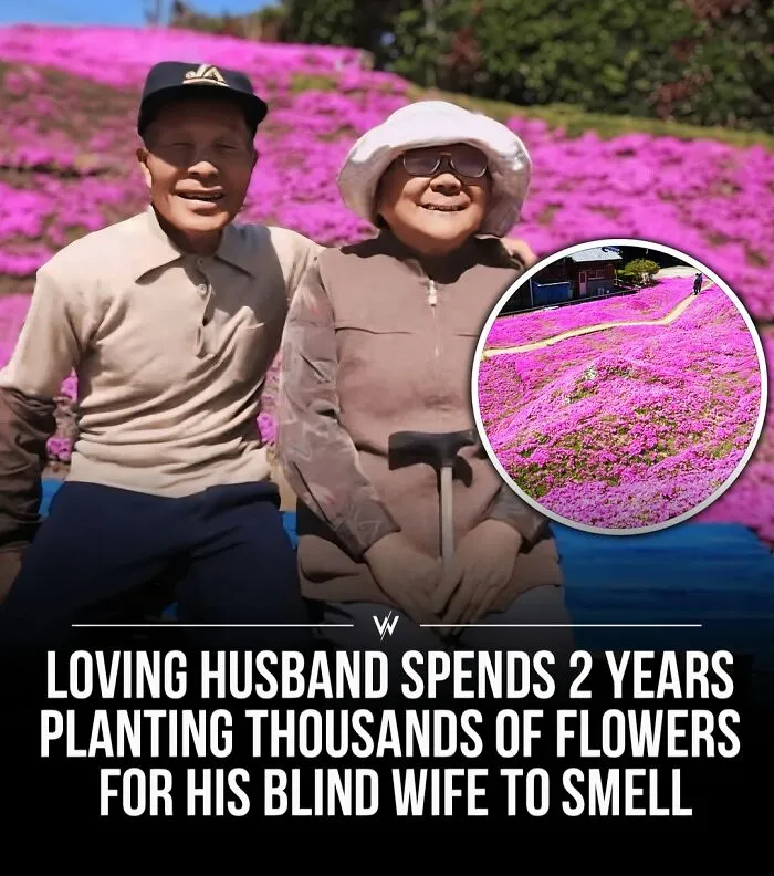 45 Unbelievably Interesting Stories And Facts To Show You A Different Side Of Reality