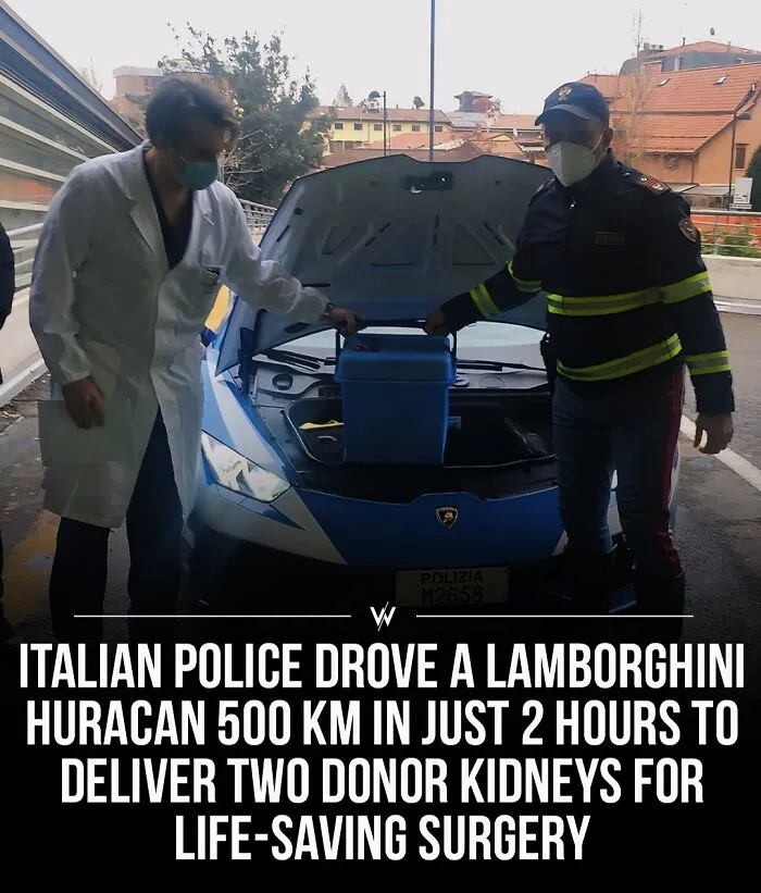 45 Unbelievably Interesting Stories And Facts To Show You A Different Side Of Reality