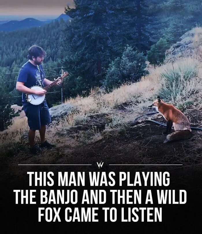 45 Unbelievably Interesting Stories And Facts To Show You A Different Side Of Reality