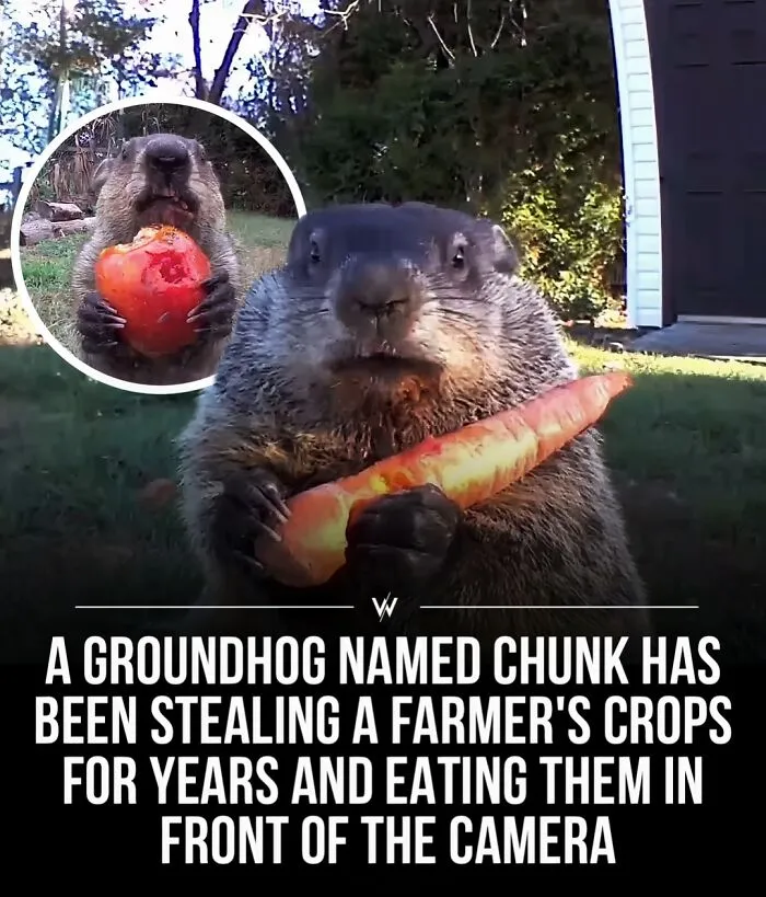 45 Unbelievably Interesting Stories And Facts To Show You A Different Side Of Reality