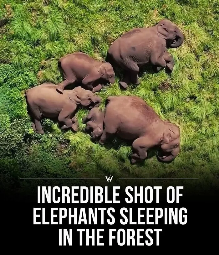 45 Unbelievably Interesting Stories And Facts To Show You A Different Side Of Reality