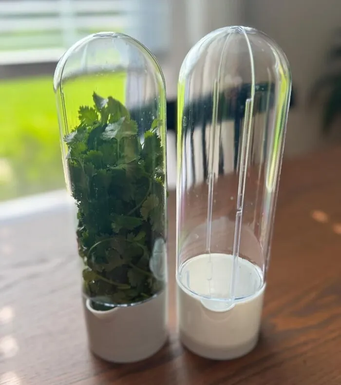 That Sad Bunch Of Cilantro You Bought With Good Intentions And Then Promptly Forgot About In The Fridge Crisper Might Actually Stand A Chance With <a Style="Display:inline;" Href="Https://Www.amazon.com/Minkeytal-Container-Herb-Saver-Refrigerator/Dp/B0dz29ggzr?ie=utf8&th=1&linkcode=ll1&tag=bppony-20&linkid=150410fb2e6204a3abc6f36bbdadc94c&language=en_us&ref_=as_li_ss_tl" Target="_blank"><span Style="Font: Inherit; Color: #d74b1f;"> This Fridge Herb Saver</Span>, An Appliance So Specific It’s Almost Admirable In Its Terrible Niche-Ness